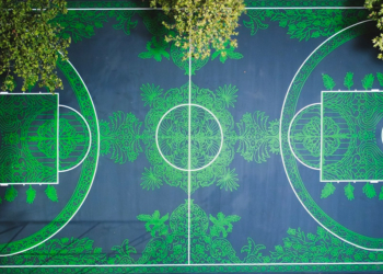 Shane Larkin, 'Carpet Court' temalı basketbol sahası açtı