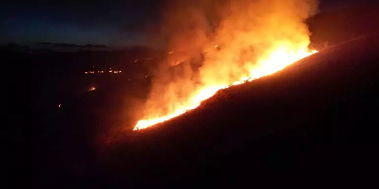 Sivas'ta orman yangını 14 saatte söndürüldü