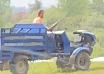 Sokak köpeğini tüfekle öldüren şüpheli, gözaltına alındı