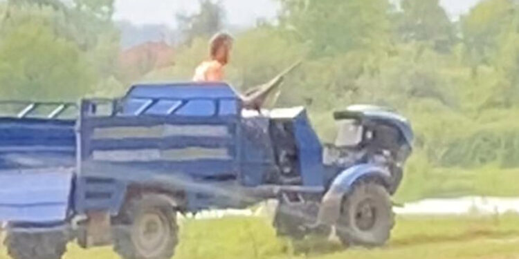 Sokak köpeğini tüfekle öldüren şüpheli, gözaltına alındı