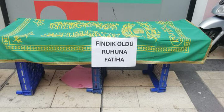 Tabuta 'Fındık öldü ruhuna Fatiha' yazıp canlı yayın yaptı