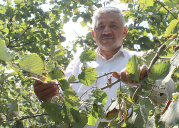 Tarım alanlarında kışlak mücadelesi yapılması gerekiyor