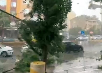 Tekirdağ'da sağanak ve kuvvetli rüzgar; ağaçlar devrildi, çatılar uçtu