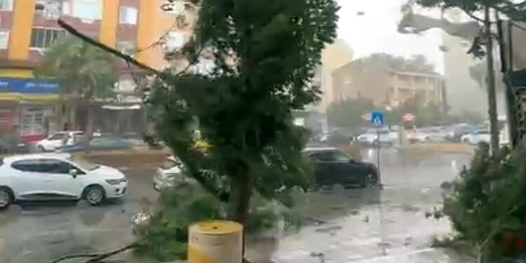 Tekirdağ'da sağanak ve kuvvetli rüzgar; ağaçlar devrildi, çatılar uçtu