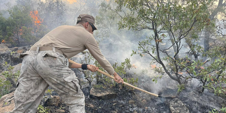 Tunceli'de çıkan orman yangını, 17 saatte söndürüldü