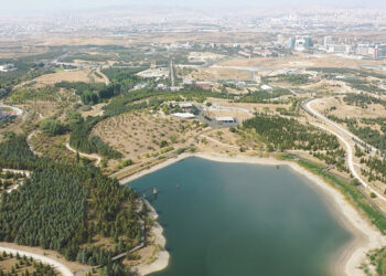 Türkiye'nin en büyük botanik bahçesinde 1200 çeşit bitki türü var