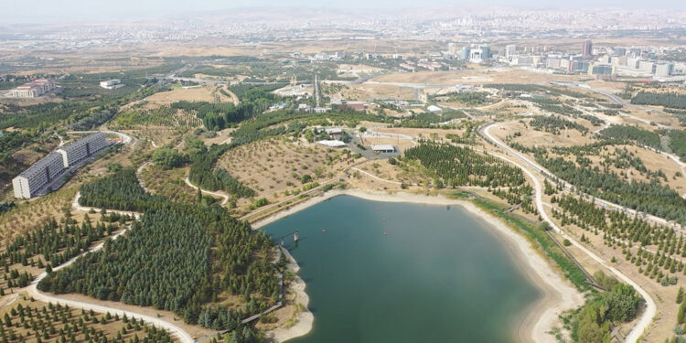 Türkiye'nin en büyük botanik bahçesinde 1200 çeşit bitki türü var