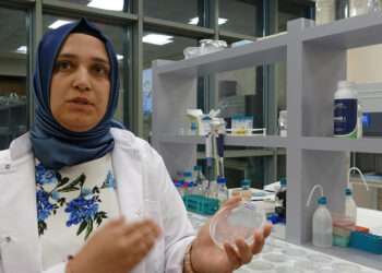 Tuzlanarak verimini kaybeden topraklara D vitamini