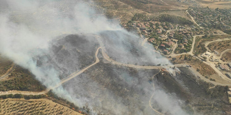 Üç şehirde orman yangını