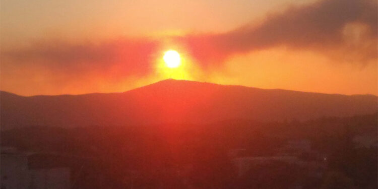 Urla'daki makilikte çıkan yangın için hasar tespit çalışması başlatıldı