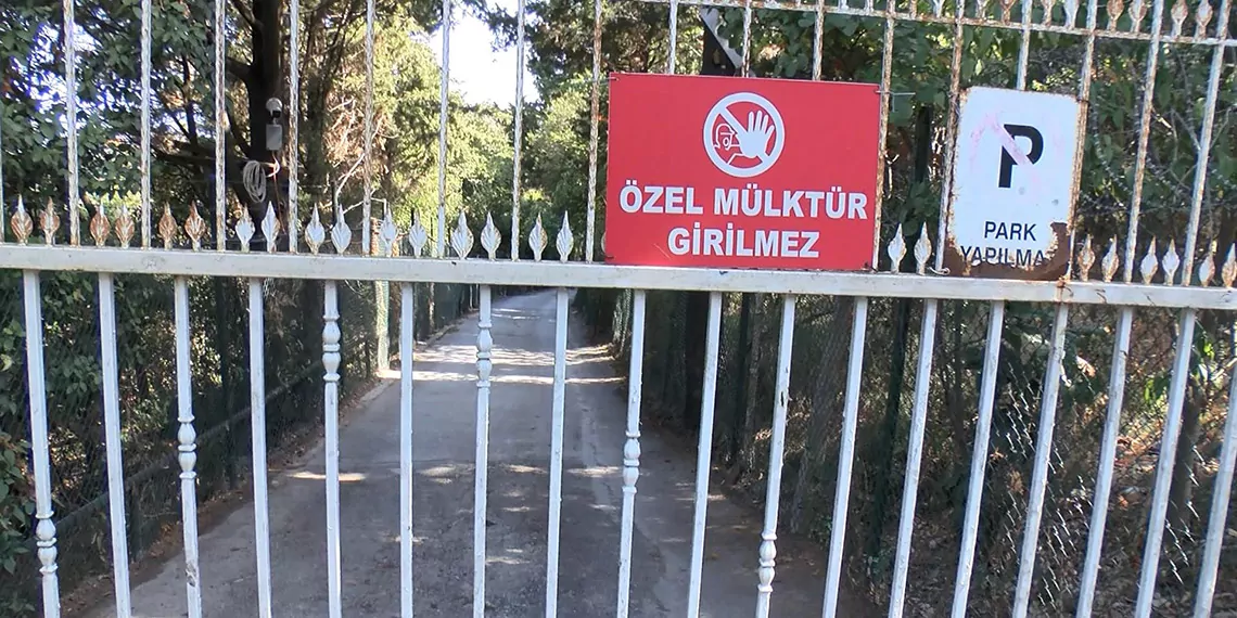 Vaniköy'de ormanın içindeki villa inşaatı durduruldu