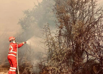 WCK ve IFRC Yunanistan'daki yangına yardım çalışmalarını sürdürüyor
