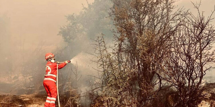 WCK ve IFRC Yunanistan'daki yangına yardım çalışmalarını sürdürüyor