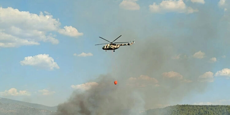Yangınlara 14 uçak, 31 helikopter, 265 kara aracı ve 1413 personel sevk edildi 