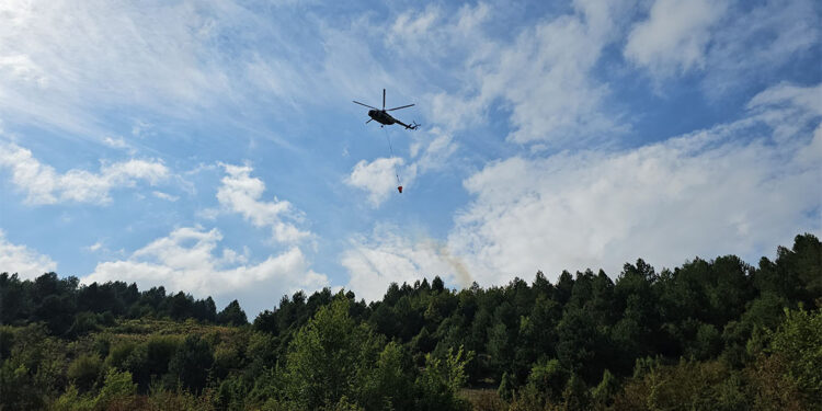 Zonguldak'ın Devrek ilçesinde orman yangını