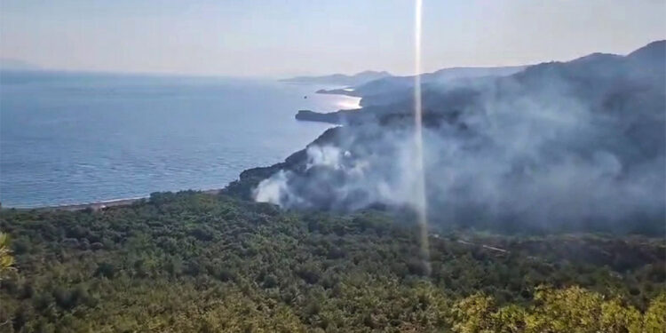 Datça'da çıkan orman yangınında 1 gözaltı
