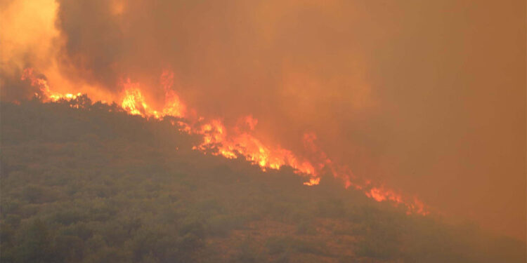Ege Bölgesi'nde son 10 yılda Yalova büyüklüğünde alan yandı
