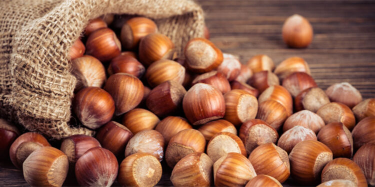 2024/2025 dönemi fındık alım fiyatı belirlendi