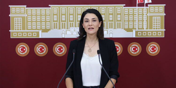 Niğde Belediyesi tarafından yapılan köpek katliamına soru önergesi