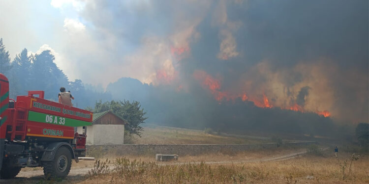 Kızılcahamam'da orman yangını; Köy boşaltılıyor