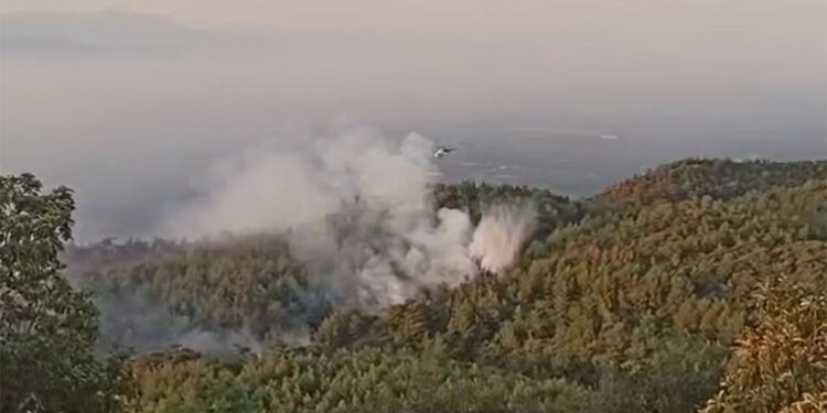 Aydın'daki orman yangını 2'nci gününde