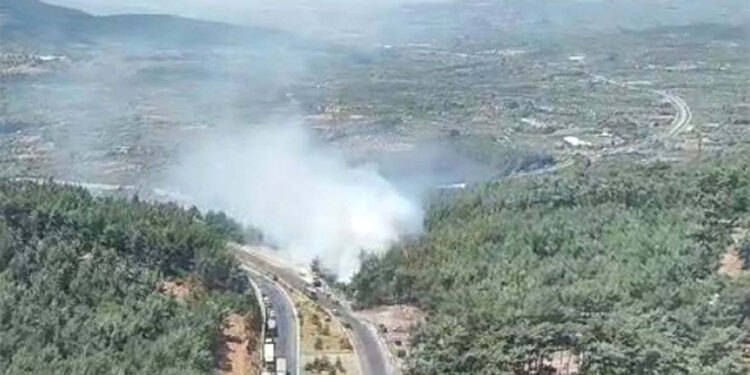 İzmir Kemalpaşa'da orman yangını