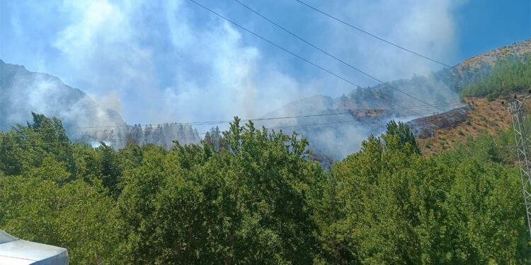 Provokatif yangın paylaşımı yapanlar için harekete geçildi