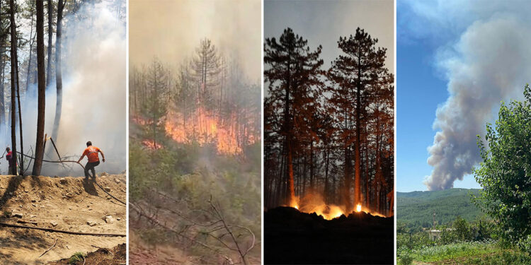 Türkiye'nin akciğerleri yanıyor