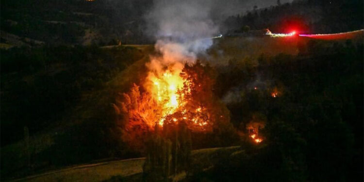 Uşak'taki orman yangınına müdahale sürüyor