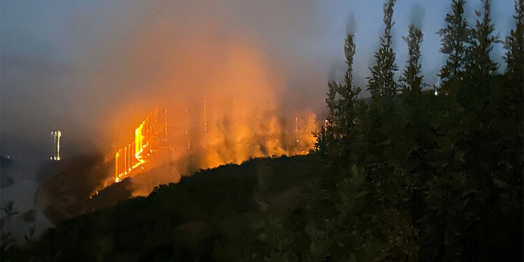 Bingöl'ün Genç ilçesinde orman yangını