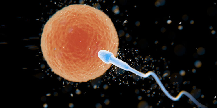 Kaliteli yumurta ve spremde vitamin takviyesi