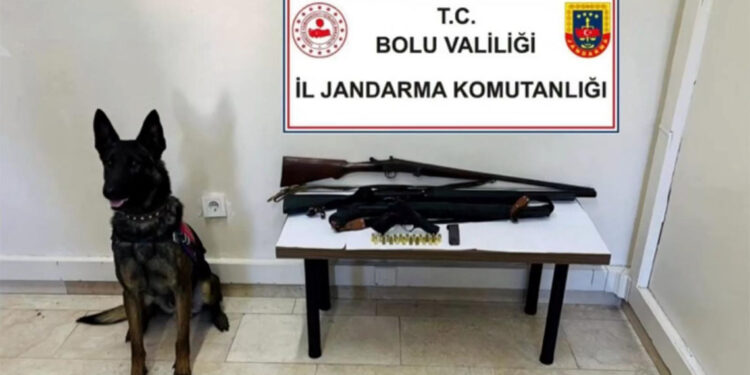 Mercek-24 operasyonlarında 1975 ruhsatsız silah ele geçirildi