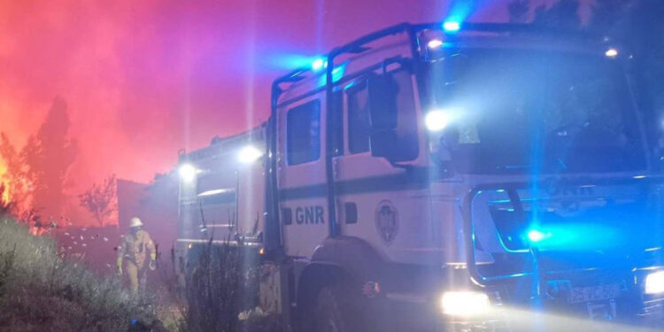 AB, Portekiz'deki orman yangınları için bölgeye yangın söndürme uçağı gönderecek