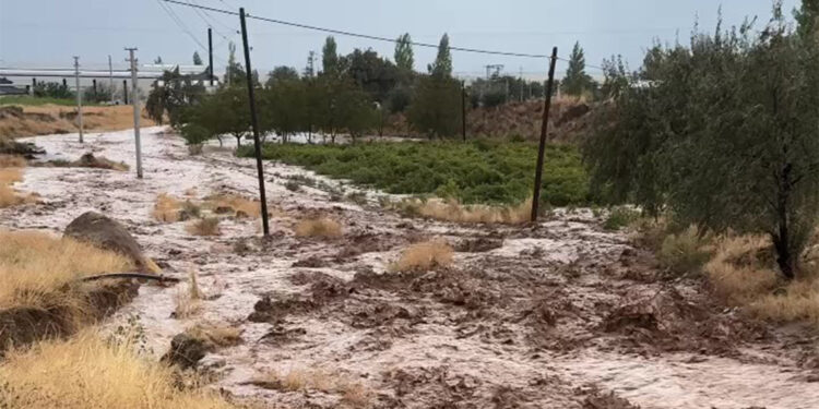 Aksaray'da yağmur sonrası dereler taştı