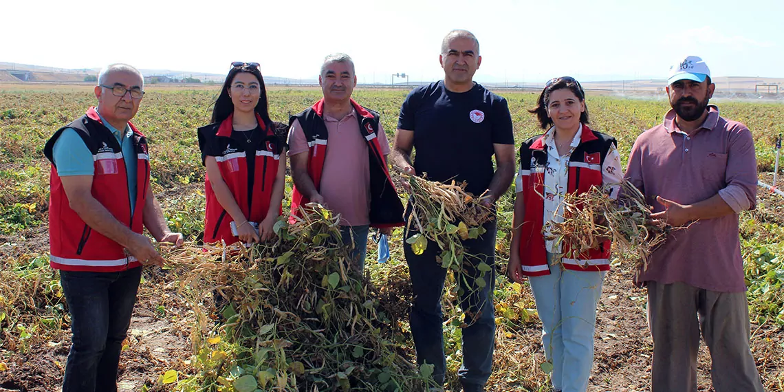 Aksarayda turk mutfaginin vazgecilmezi 379034 104835 1 - i̇ş dünyası - haberton