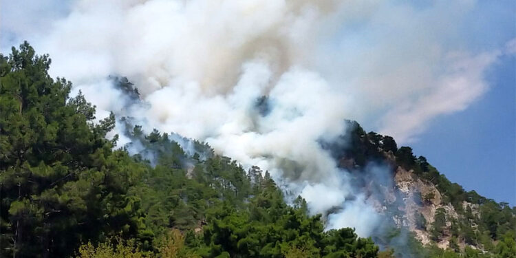 Kumluca'da orman yangını çıktı