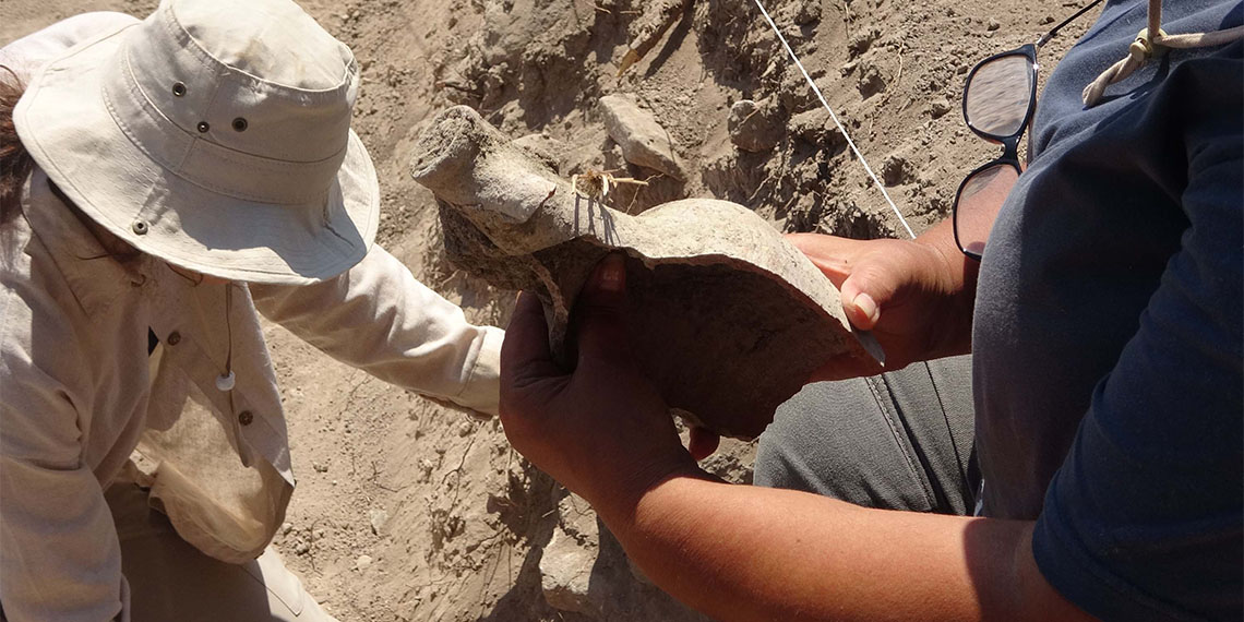 Çanakkale'nin Ayvacık ilçesine bağlı Gülpınar köyünde Apollon Smintheus Kutsal Alanı'nda süren arkeolojik kazılarda bulunan yaklaşık 1700 yıllık vazo, çanak ve çömlek kalıntıları, şehrin geçmişine ışık tutuyor.