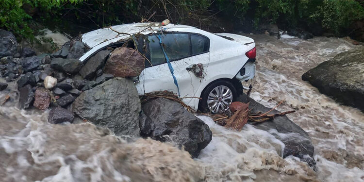 Artvin'de etkili olan sağanakta dere taştı