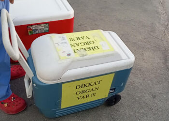 Melike Seven'in bağışlanan organları 4 hastaya umut oldu