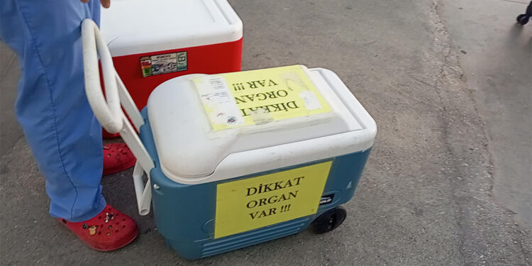 Melike Seven'in bağışlanan organları 4 hastaya umut oldu