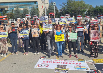 Sahipsiz hayvanlara yönelik düzenleme esastan görüşülecek