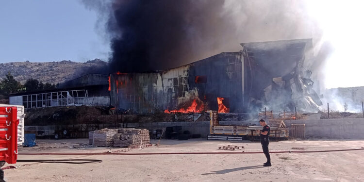 Adana'da narenciye paketleme tesisinde yangın