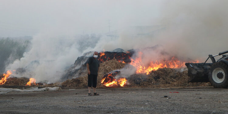 Anız yangını, belediyenin şantiyesine sıçrayıp, zarar verdi