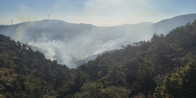 Antakya'da ormanda yangın çıktı