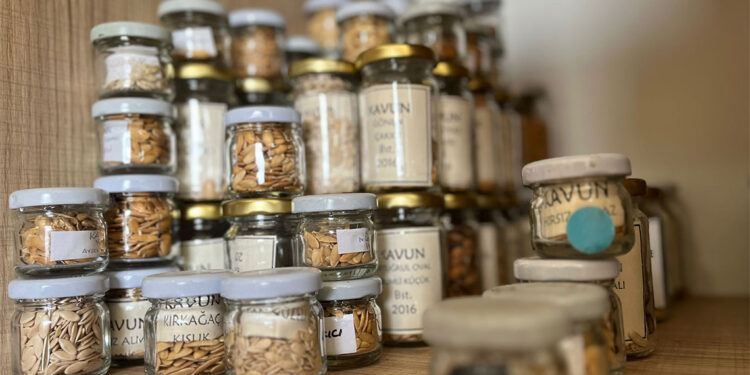 Kent Bostanları'nda 580 çeşit ürün yetiştirildi