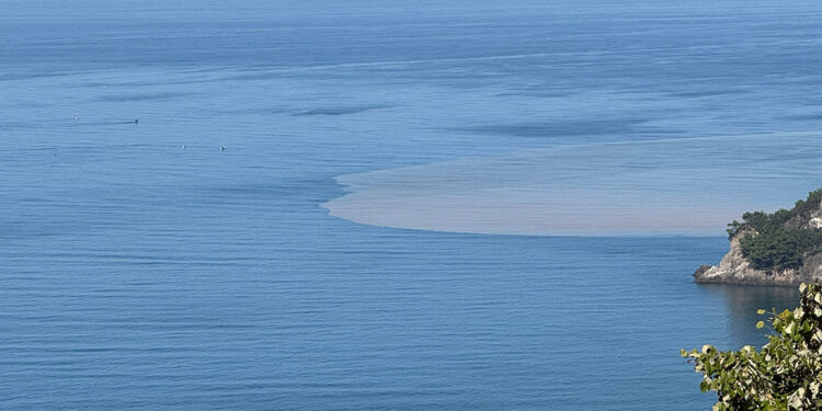 Bartın Irmağı'ndan akan çamurlu su nedeniyle denizin rengi değişti