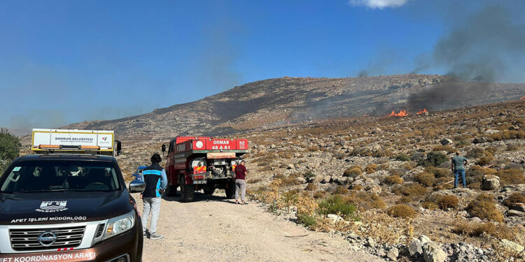 Bodrum'da ot yangını, 2 saatte söndürüldü