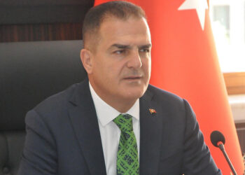 Bu yıl Muğla'daki yangınlarda 1148 hektar orman zarar gördü