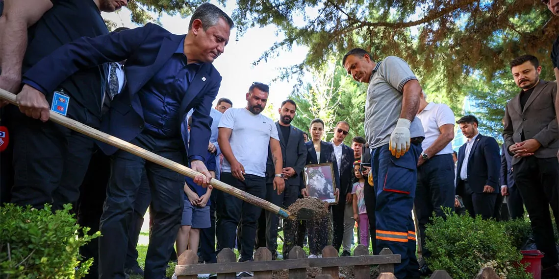 Chpnin kedisi sero oldu 2 412090 114507 - politika - haberton