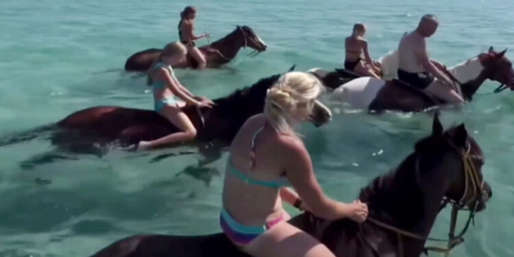 Denizde at turu, hayvana eziyet